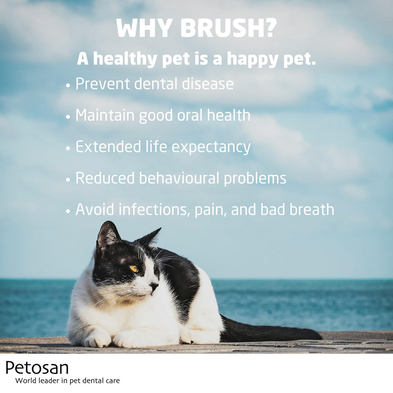 Petosan 2X Toothpaste for Cats - 2X 70g Poultry Flavour Toothpaste for Cat Dental Care - Anti-Tartar, Plaque Control, Vet-Approved - Fresh Breath and Oral Hygiene for All Cats