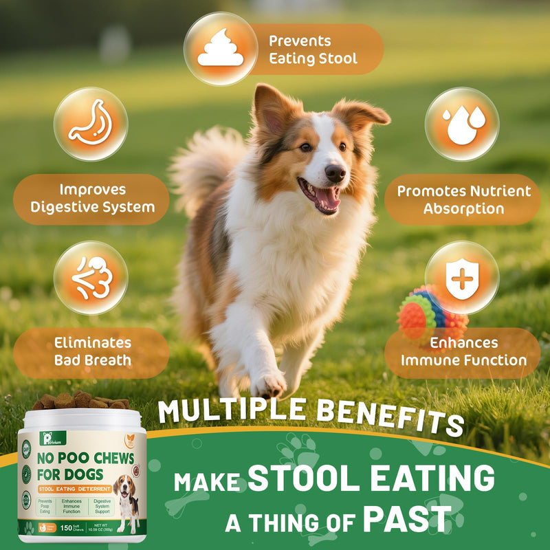 No Poo Chews - Coprophagia Deterrent for Dogs, No Poop Eating Deterrent for Dogs, Stopping Dog from Eating Poop Supplement with Probiotics & Digestive Enzymes 150ct Chicken