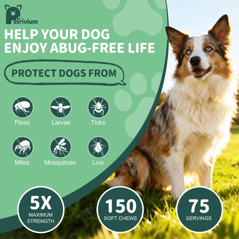 Dogs Flea and Tick Prevention Treatment Chewable, Flea and Tick Prevention for Dogs, Oral Flea Pills Treatment Support Supplement - Flea and Tick Chews - All Breeds & Sizes - 150 Ct