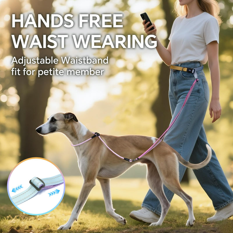 QQPETS Adjustable Slip Lead Dog Leash, Hands Free Waist Leash for Dog Walking, Reflective Training Lead with 360° Swivel Anti-Tangle, 4-7 ft Length for All Breeds Color Gradient