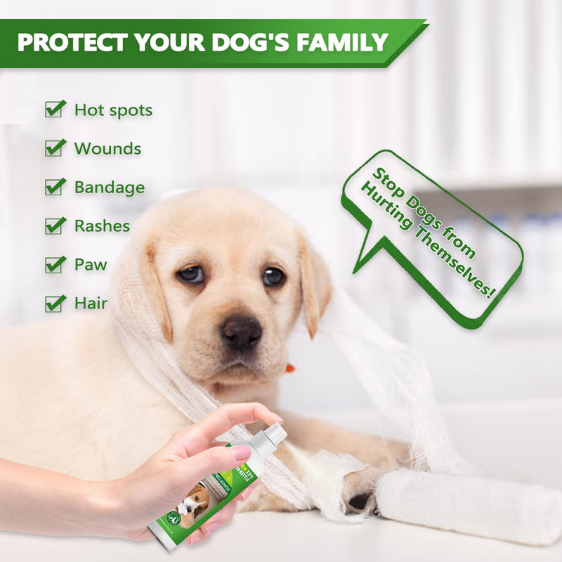Cooraby 5.07 Oz Bitter Apple Spray for Dogs to Stop Chewing - Natural Ingredients No Chew Spray for Dogs - Dog Repellent Spray - Alcohol Free, Cruelty-Free - Protect Your Furniture Green - BeesActive Australia