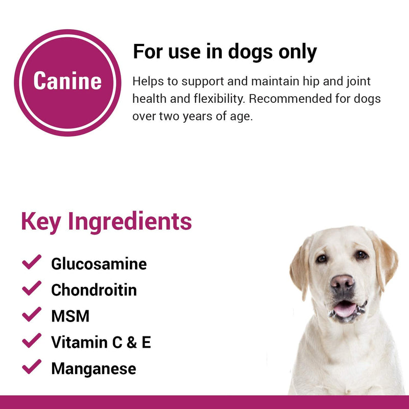 Vet Classics GCM Plus Hip & Joint Support Dog Supplement – Includes MSM, Chondroitin, Glucosamine – Supports Healthy Joints, Flexible Hips in Dogs – Chewable Tablets 120 Ct. - BeesActive Australia