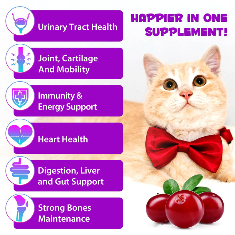 15-in-1 Cat Multivitamin Drops, Vitamins and Supplements for Cats - Liquid multivitamins for cats support immune health, hip and joint health - BeesActive Australia