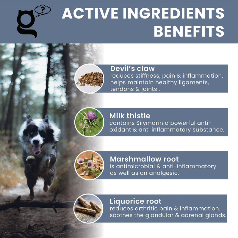 Joint Guru - Mobility Supplement for Dogs, 100ml - Natural Daily Support with Glucosamine & Devils Claw - Reduces Inflammation - Promotes Flexibility - Dog Health Hip & Joint Care