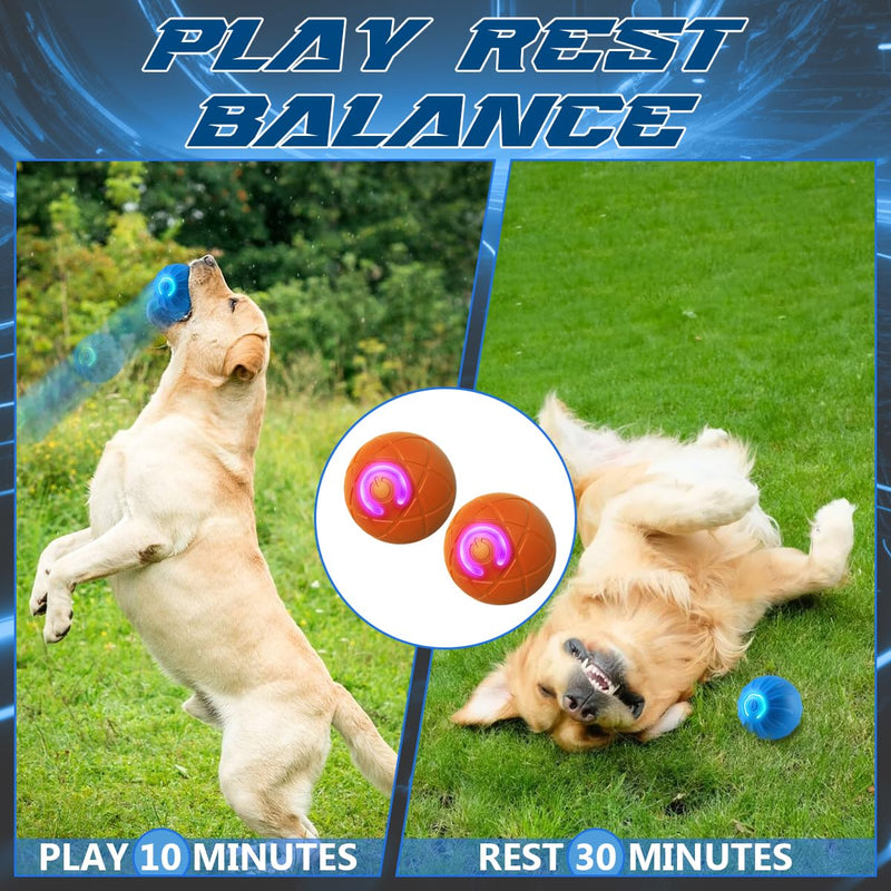 Shaky Ball Toy for Dogs,Shaking Dog Ball,Interactive Dog Ball,Automatic Moving Dog Toy Ball,USB Rechargeable Vibrating Dog Ball Remote Control Shaking Pet Ball for Dogs Cats (2PCS+Replacement Shell) 2 PCS+Replacement Shell - BeesActive Australia