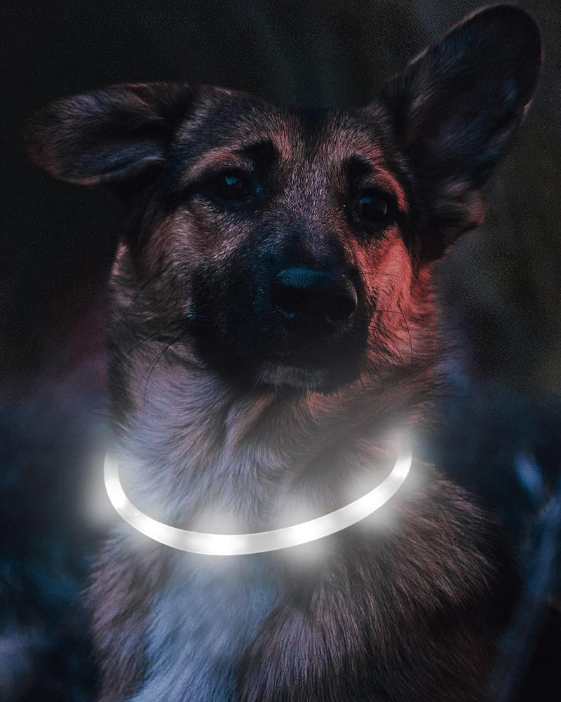 Joytale Luminous Dog Collar USB Rechargeable Dog Collar Luminous for Large Medium Small Dogs and Puppies, LED Collar with 3 Modes for Safety, White 70 cm (Pack of 1) White - BeesActive Australia