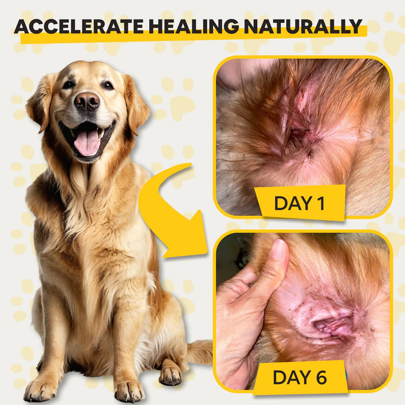 Dog Ear Infection Treatment – Natural Dog Ear Cleaner, Ear Infection Relief, and Skin Soothing for Pets with Plant-Based Ingredients - BeesActive Australia