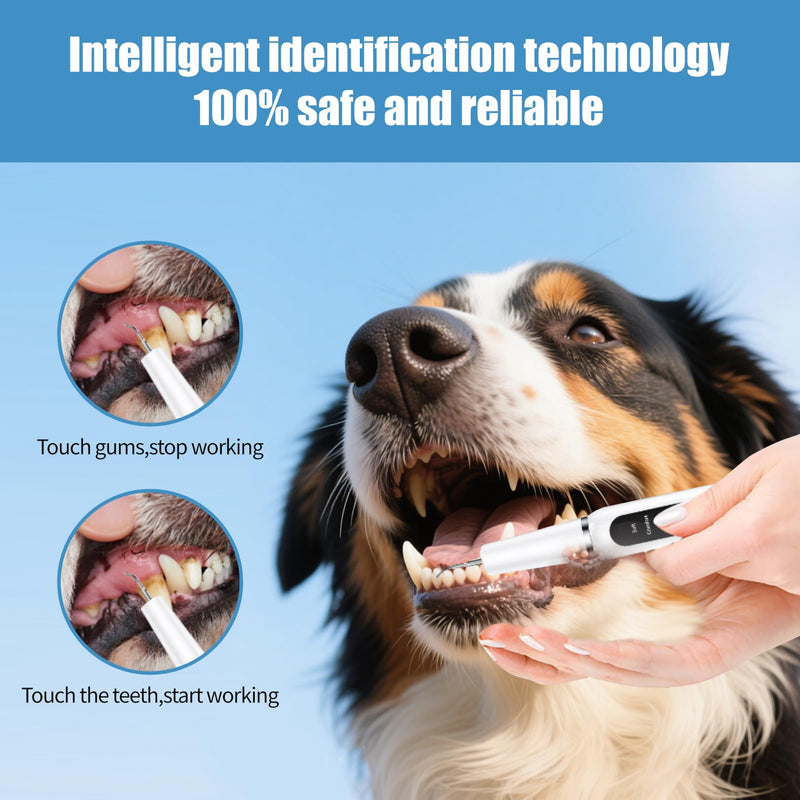 Dog Plaque Remover for Teeth, Pet Teeth Cleaning Products with LED-Light Waterproof Electric Cleaner Tartar Tooth Cleaner for Dogs and Cats Dental Care