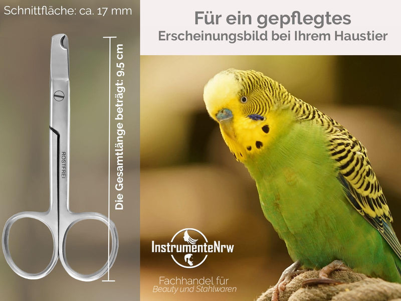 Claw scissors budgies claw pliers birds straight claw cutter 9.5 cm - shortening the claws of parrots parakeets small animals - stainless steel - brand quality from specialist retailers - BeesActive Australia
