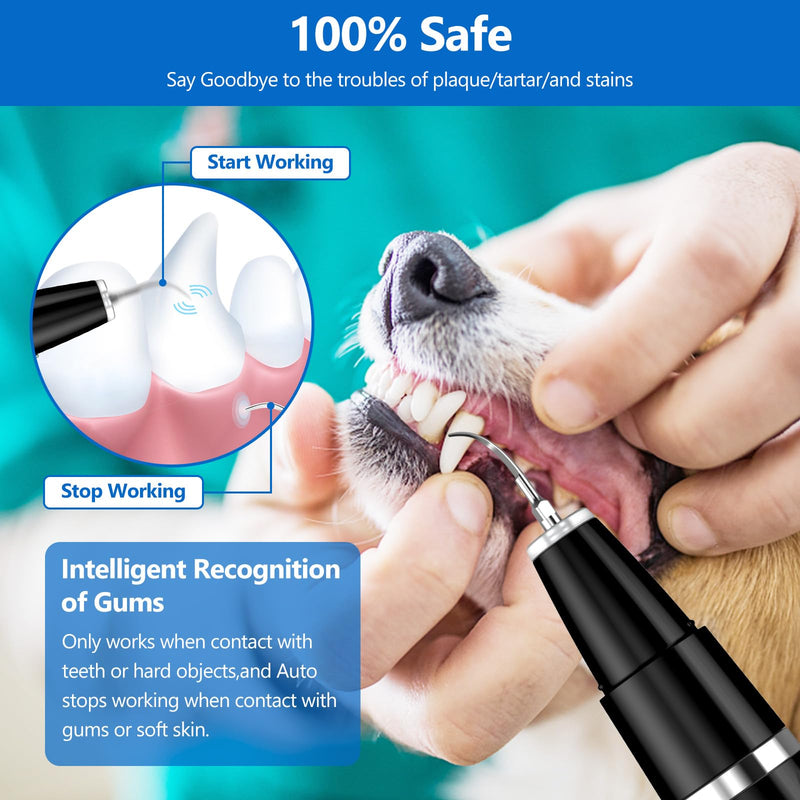 Ni-SHEN Dog Teeth Cleaning Kit Black