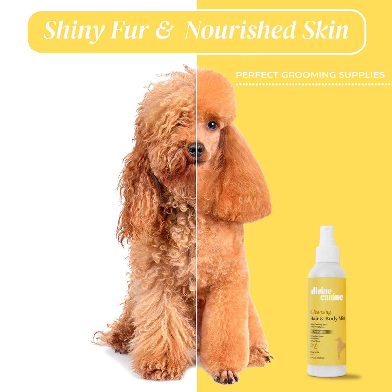 Cleansing Hair and Body Spray for Dogs - 5.1 Fl Oz of Dog Deodorizing Spray Long Lasting Formula - Everyday Body Spray with Aloe, Lemongrass Oil, and More - Made in The USA - BeesActive Australia