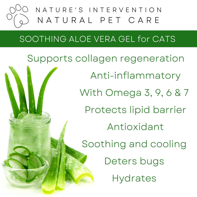 NATURE'S INTERVENTION 99% Natural Soothing Aloe Gel for Cats – 100g – Aloin-Free Aloe Vera & Sea Buckthorn – Safe for Feline Grooming – Hydrating & Non-Greasy