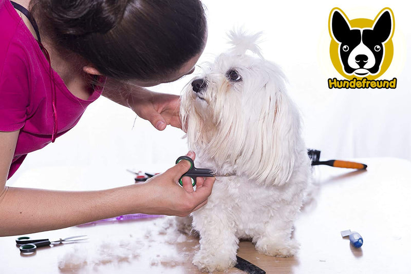 Hundefreund dog scissors set with thinning scissors for grooming | Stainless steel scissors with rounded tips for dog grooming - BeesActive Australia