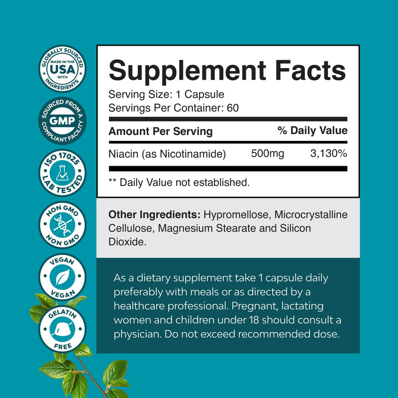 Vitamin B3 Niacinamide 500mg Capsules - Mitochondrial Energy and Potent Skin Supplement - Vitamin B3 Niacin Flush Free and Nicotinamide 500mg - Flush Free Niacin Supplement - 60 Count 60 Count (Pack of 1)