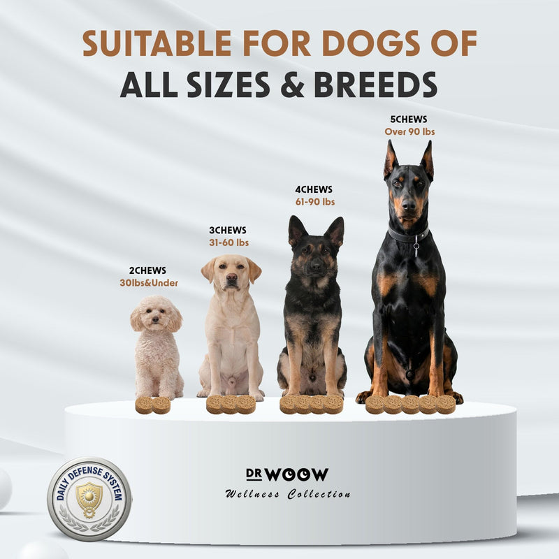 Dog Flea & Tick Prevention Chews – Daily Defense Supplement for Parasites, Gut & Immune Support – Natural Formula Soft Chews – Made in USA – Dr. Woow (120 Ct) Flea & Tick Relief