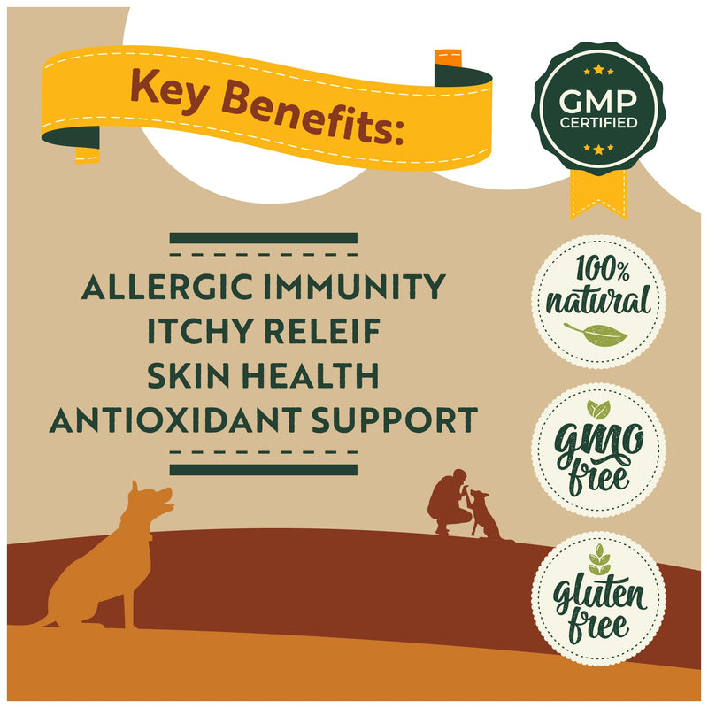 Healthy Paws Itch Immunity Treats for Dogs – Allergy & Itch Relief Chews for Skin, Paws, Eyes & Ears – Stop Itching, Licking & Scratching – Seasonal Allergy Support – Small, Medium & Large Dogs