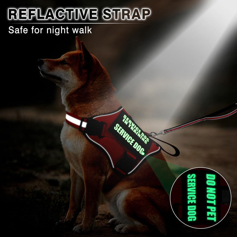 Service Dog Vest Harness and Leash Set+10 Patches,No Pull&Adjustable Reflective Dog Harness with Soft Padded Handle for Training/Everyday,Fit Small/Medium/Large/Extra-Large Dogs(Red L) Large Red - BeesActive Australia