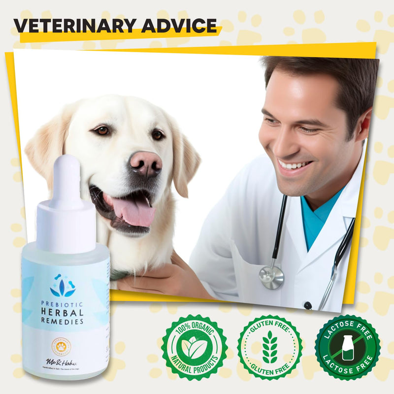 Dog Ear Infection Treatment – Natural Dog Ear Cleaner, Ear Infection Relief, and Skin Soothing for Pets with Plant-Based Ingredients - BeesActive Australia
