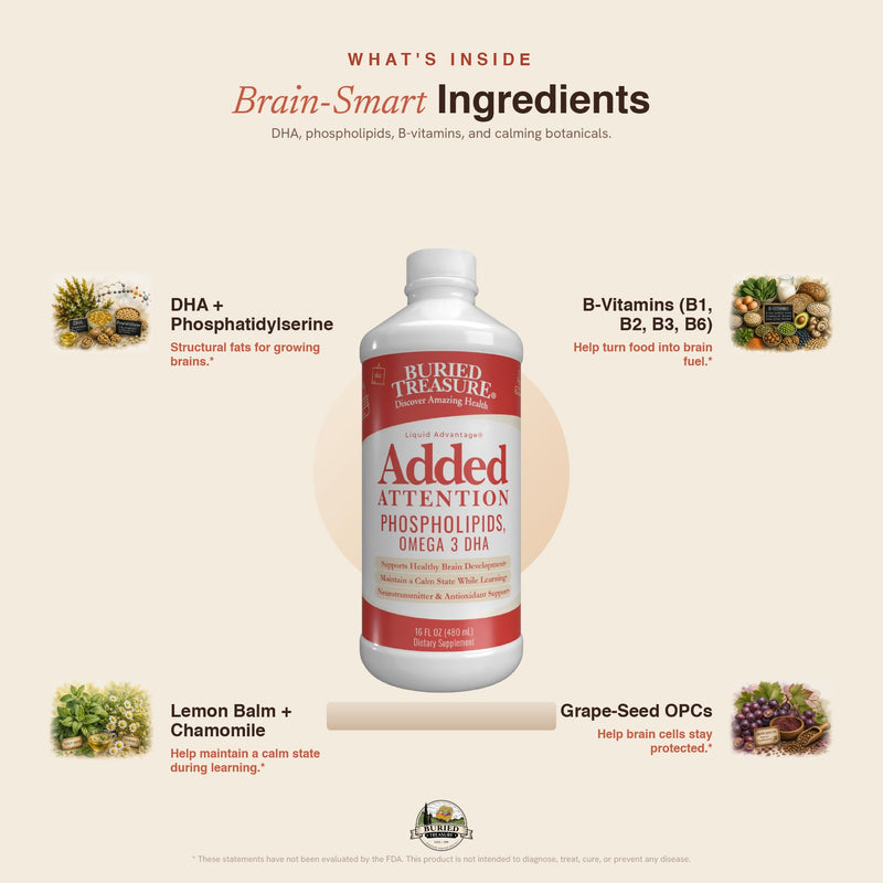 Buried Treasure - Added Attention - Children's Learning Support with GABA DHA Vitamin B and Herbal Blend - Aid Healthy Brain Functions - Improved Short-Term Auditory Memory Focus & Behavior 16.54 oz