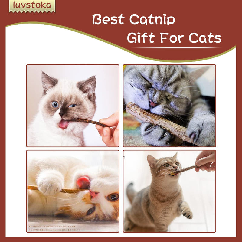 Silvervine for Cats, Cat Chew Stick, Catnip Toys Matatabi Wooden Sticks (25pcs) 25pcs - BeesActive Australia