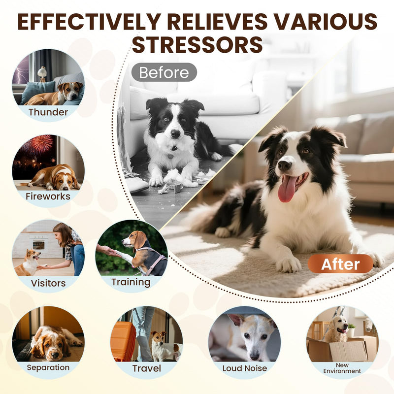 Dog Pheromones Calming Diffuser to Calm Dogs 9 IN 1 Kit (3 Diffusers+6 Refills) Pheromone Plug In for Stress Barking Pee Accidents Chewing Aggression Separation Anxiety Relief 180 Days(Odorless) Odorless