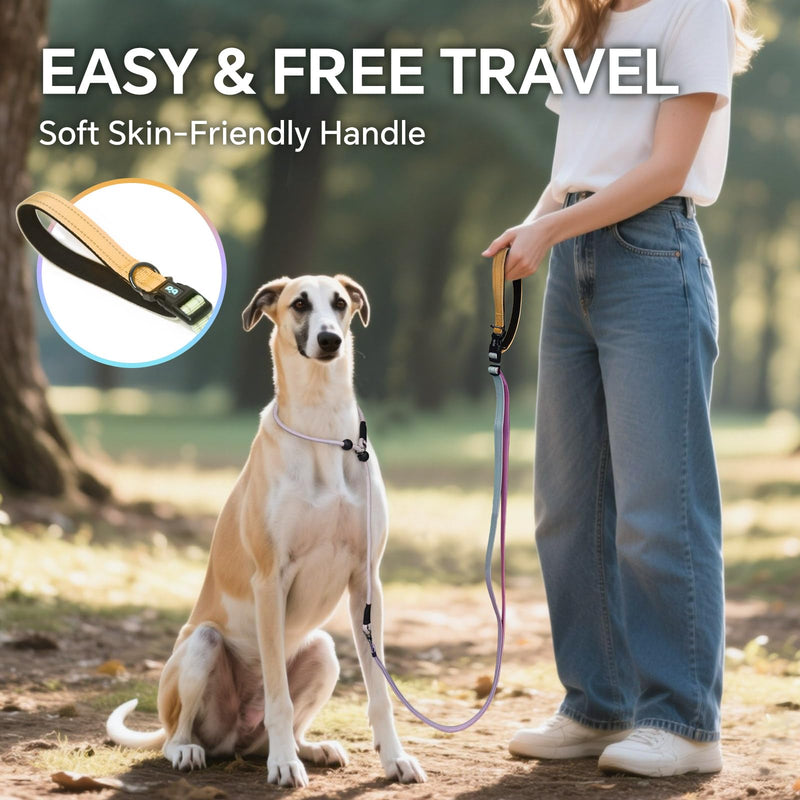 QQPETS Adjustable Slip Lead Dog Leash, Hands Free Waist Leash for Dog Walking, Reflective Training Lead with 360° Swivel Anti-Tangle, 4-7 ft Length for All Breeds Color Gradient
