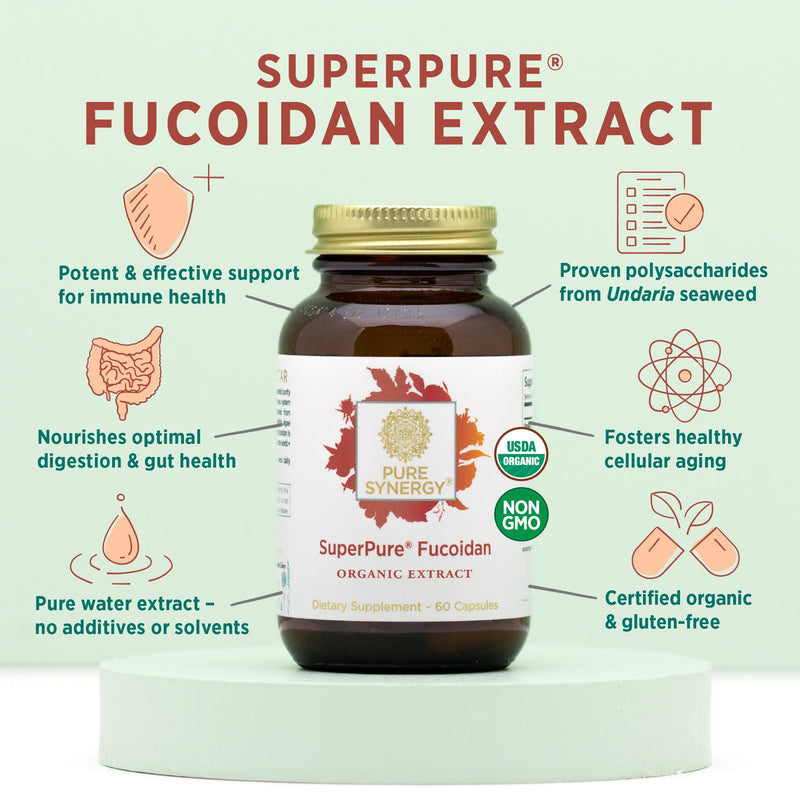 PURE SYNERGY SuperPure Fucoidan Extract (60 Capsules) | Gluten-Free Fucoidan from Organic Brown Seaweed, For Immune Health, Digestion, & Healthy Aging Support