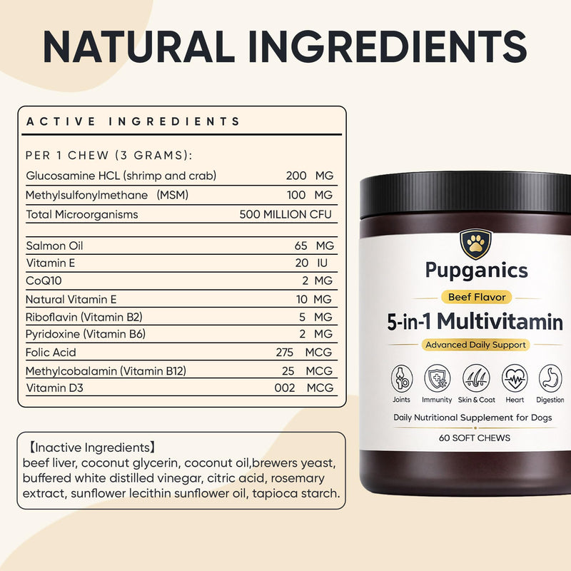 Pupganics Multivitamin Daily Soft Chews for Dogs, Pupganics 5 in 1 Multivitamin, Vitamin & Probiotics for Skin & Hair, Heart Health, Immune Support, Beef Flavor, 60 Soft Chews (1 PCS) 1 PCS