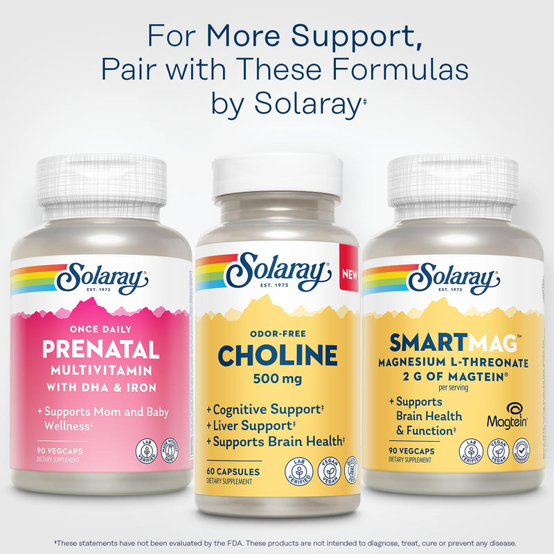 SOLARAY Choline 500 mg – Cognitive, Brain Health and Liver Support Supplement – Powerful Brain Supplement & Choline Source for Adults – Odor-Free, Vegan Liquid VegCaps – 60 Servings, 60 Capsules