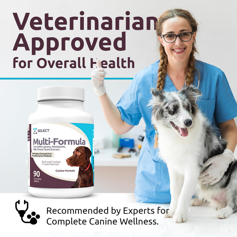 K9 Select Multi-Formula Dog Vitamins for Large Dogs - 30mg HMR Lignans, 3mg Melatonin, 60mg Milk Thistle - Helps Heart, Liver, Digestion, Skin & Coat Health, Dog Multivitamin, 90 Tablets, Beef Flavor 30mg Beef Flavored