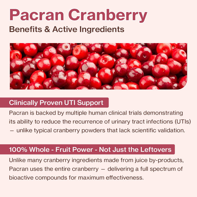 Doctor By UT Care Cat UTI Kidney Support Urinary Supplement Cranberry Treatment for Cats Renal Health with Pacran, Quercetin, Taurine lickable Formula Individually Packaged (1 Pack) 1 Pack