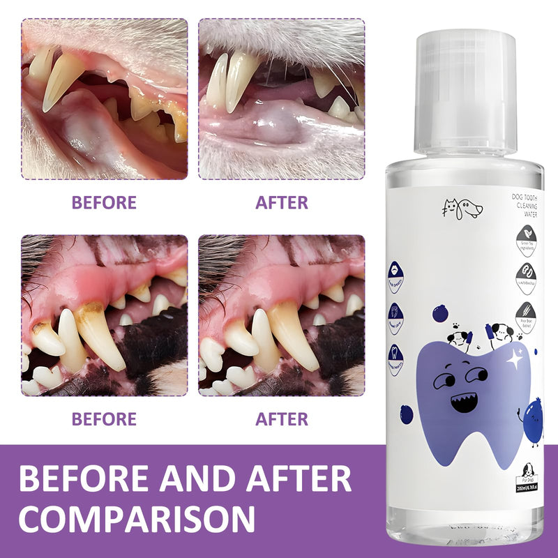 2 Pair Pawbright Dental Plus,Gentle,Promote Healthy Gums and Fresh Breath,Easy Daily Use for Pets,Effective Tartar Removal (Dog)