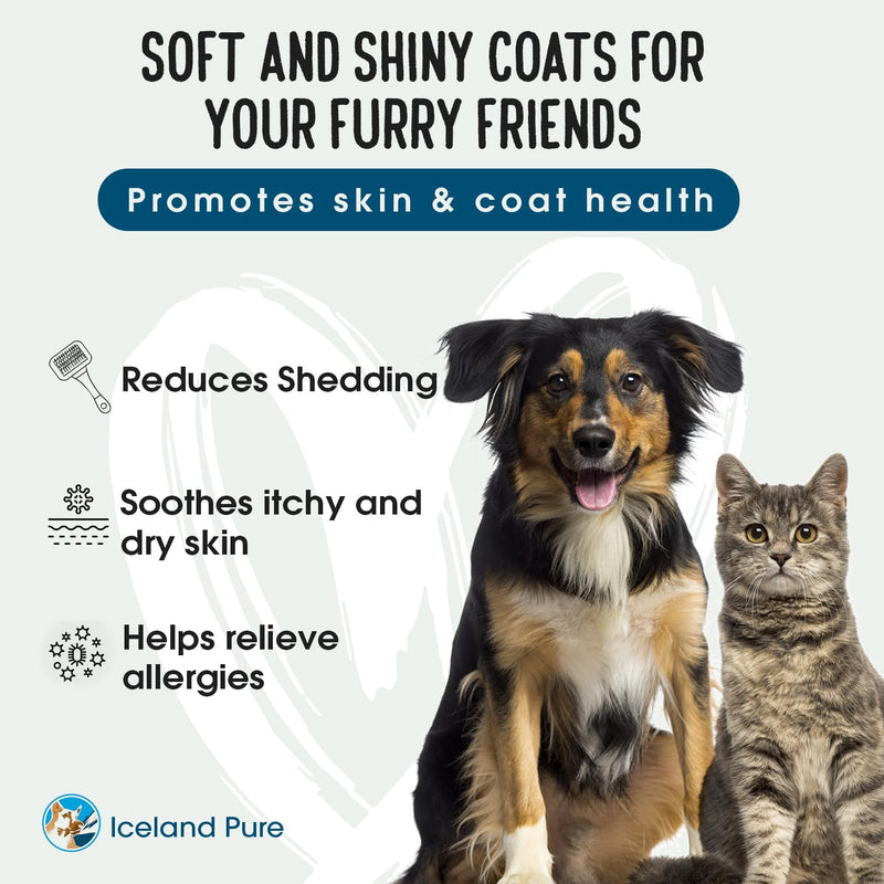 Sardine Anchovy Oil | 1296mg Omega | Unscented Pharmaceutical Grade | For Dogs & Cats | BPA-Free Brushed Aluminum Epoxy Coated Bottle with Pump 17 OZ 17 Fl Oz (Pack of 1) transparent