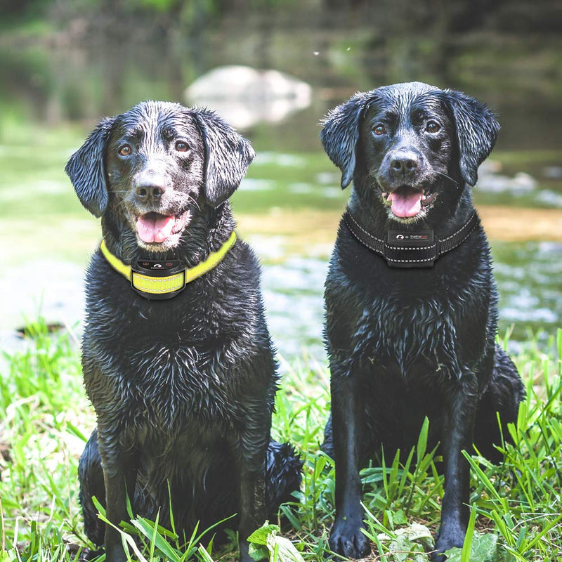 Paipaitek Collar Replacement Strap Compatible with Patpet, Garmin, Dogtra, Petrainer, Dog Care, Sportdog Field Trainer, Trainpro Dog Training Collar Receiver Reflective black and reflective yellow - BeesActive Australia