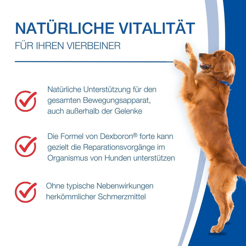 NutriLabs Dexboron® forte dog chewable tablets 50 PCS. - Tablets with devil's claw for dogs - Dog regenerating agent with willow bark, frankincense extract and much more - Dog regenerating agent 50 pieces - BeesActive Australia