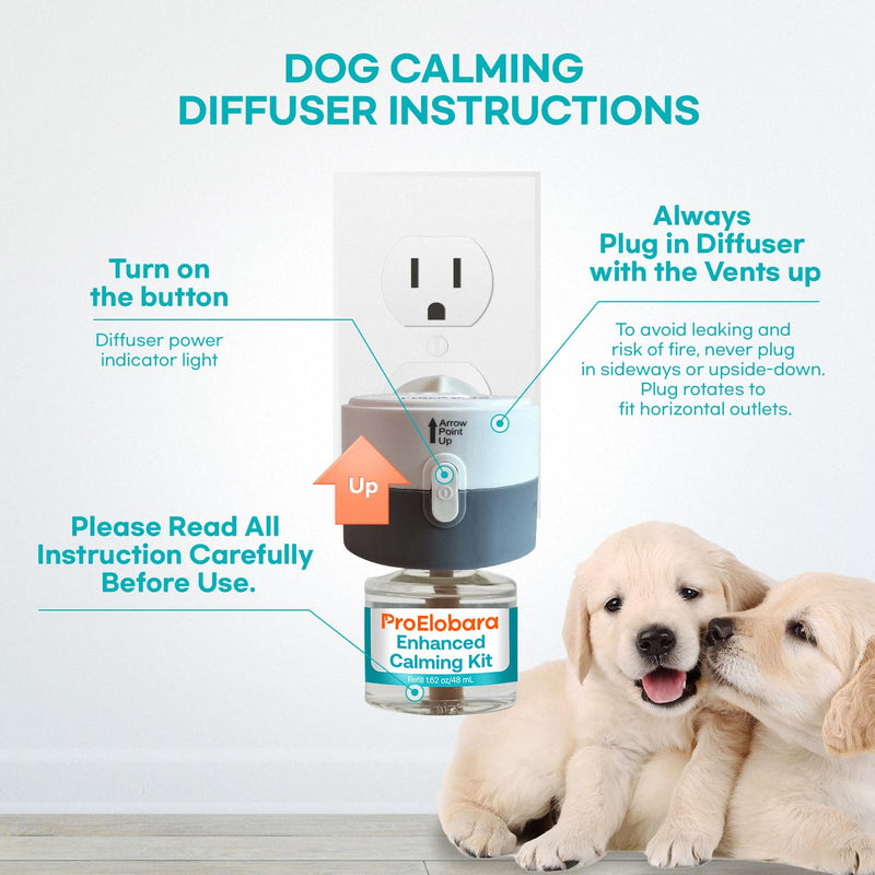 Calming atomizer for dog stress: Pheromone atomizer for dogs against anxiety - Comfort Dog Calm Pheromone Starter for home - lasts for 60 days BlueB - BeesActive Australia