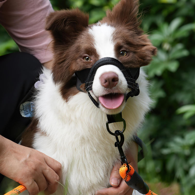 No-Pull Dog Headcollar, Adjustable Gentle Training Collar with Padded Nose Band, Lightweight Comfortable for Medium Large Dogs, Easy Control During Walk Safety (Upgrade Size) - BeesActive Australia