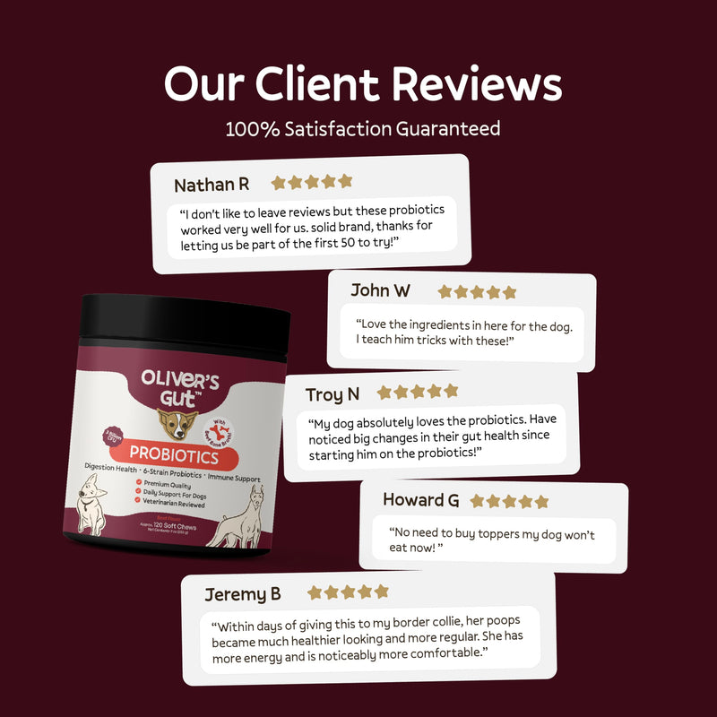 Oliver's Gut Probiotics for Dogs, Digestion Health · 6-Strain Probiotics · Immune Support. Papaya & Pumpkin Powder. Beef Bone Broth Powder. Gut Health. Beef - 120 Count.