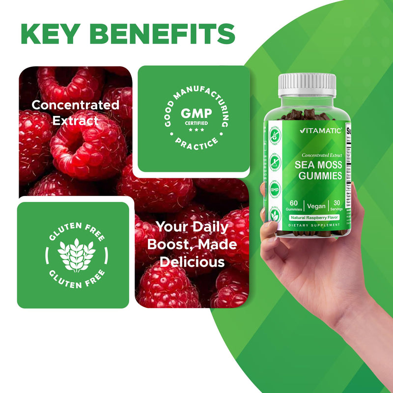 Vitamatic Sea Moss Gummies with Bladderwrack & Burdock, 60 Gummies - 2 Pack | Premium Botanical Blend for Immune Support*, Natural Raspberry Flavor, Vegan, Non-GMO, Gluten Free.