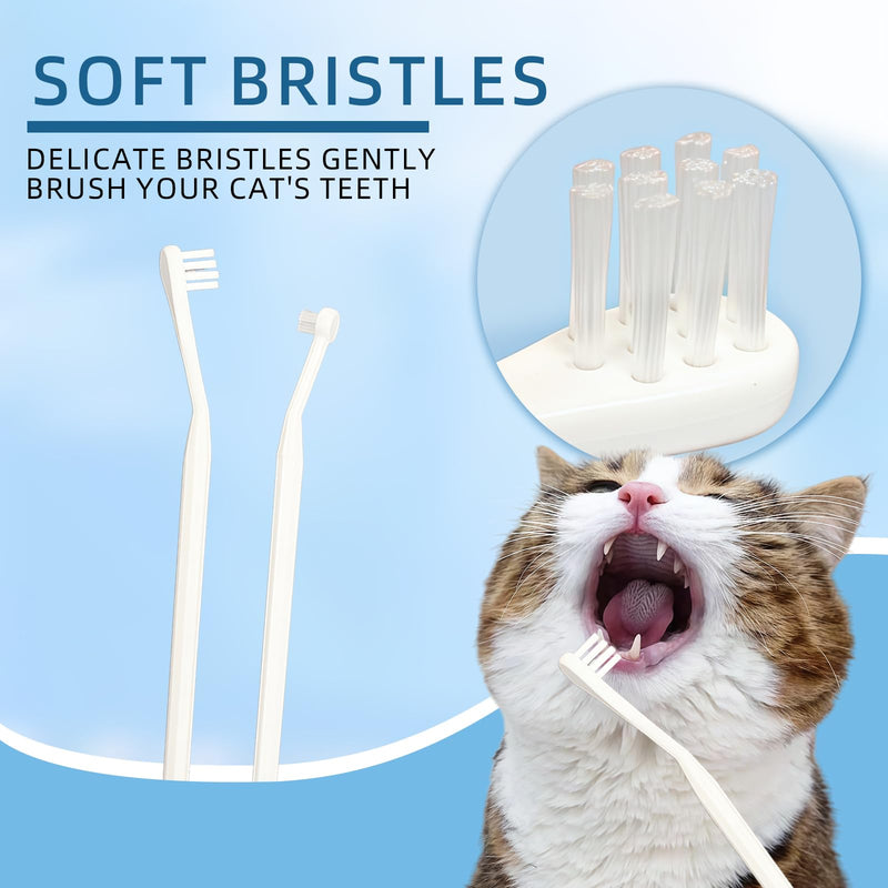 HOP Cat Toothbrush and Toothpaste Kit Vanilla Cat Toothpaste(70g) 2 Soft Nylon Bristles Micro-Head Cat Toothbrushes Kitten Tooth Brushing Kit Pet Dental Care Kit for Cats and Small Dogs Fresh Breath