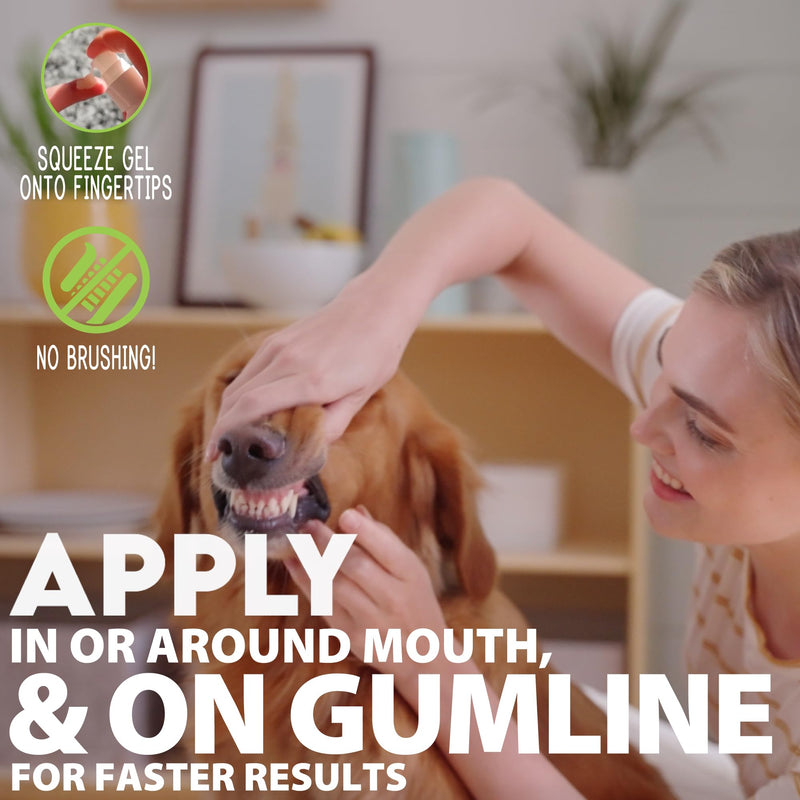 Complete Oral Care from The Founders of PetzLife - 4 oz (Peppermint Gel) Peppermint Gel - BeesActive Australia