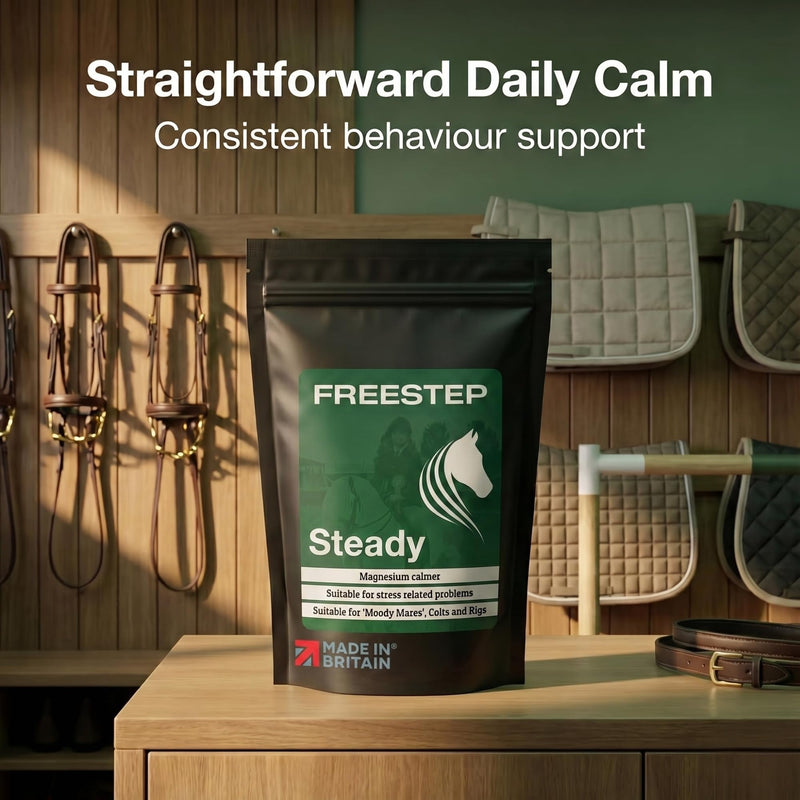 Steady | Daily Horse Calming Supplement | Magnesium, Vitex (Chasteberry) & Chamomile | Non-Sedative, Molasses-Free Magnesium Horse Calmer Powder 500g | 2 Month Supply