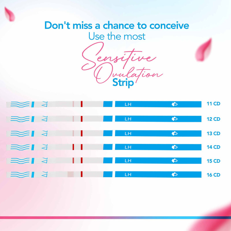 Clinical Guard 35 Pregnancy Tests Strips and 40 Ovulation Test Strips Fertility Kit and Early Detection OPK LH HCG Combo Pack - BeesActive Australia