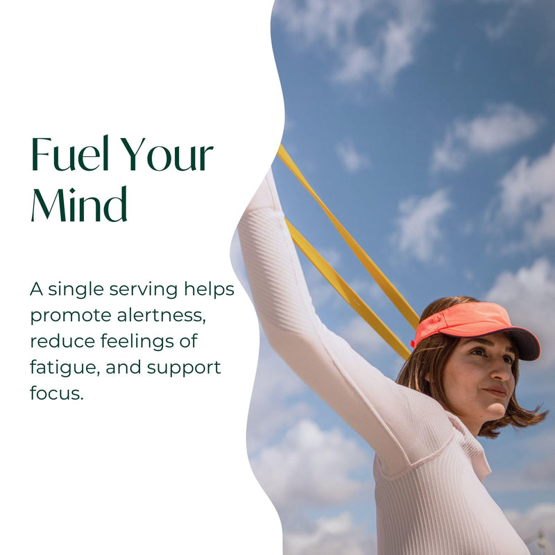 PURE Focus + Energy Tub Drink Mix | Zero Sugar | 9.5 oz | Watermelon Flavor | Natural caffeine from botanicals with antioxidants and B-complex vitamins | Energizing watermelon-flavored tub drink mix