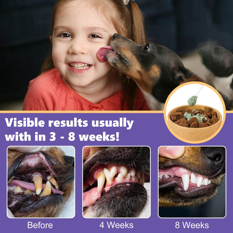 Dog Dental Powder, Dog Breath Freshener, Dog Teeth Cleaning Powder, Dog Dental Care, Plaque & Bad Breath Off Powder Dog, Teeth Cleaning Made Easy Eliminate, Formulated for Small, Medium, Large Dogs - PawsPlanet Australia
