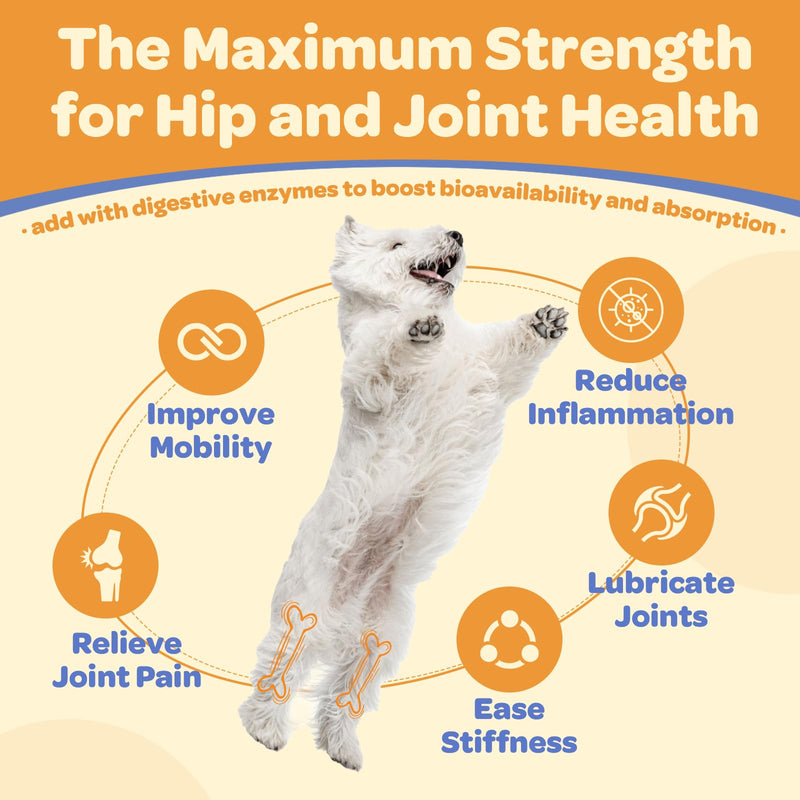 Multivitamin for Dogs Soft Chews & Glucosamine for Dogs 180 Counts
