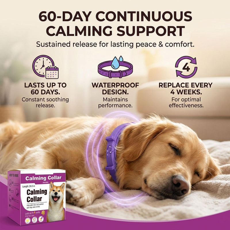Calming Collar for Dogs, Dog Collar 60-Day Adjustable Calming Collars for Small Medium Large Dogs, 24.5 Inch Comfort Fit Collar 4PCS (Gray) Gray