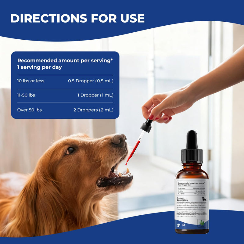 Appetite Stimulant for Dogs – Liquid Vitamin B12 Drops, Methylcobalamin(Methyl B12) Dog Supplement, Boosts Appetite, Energy, Mood, Recovery - 2 fl oz (60ml)