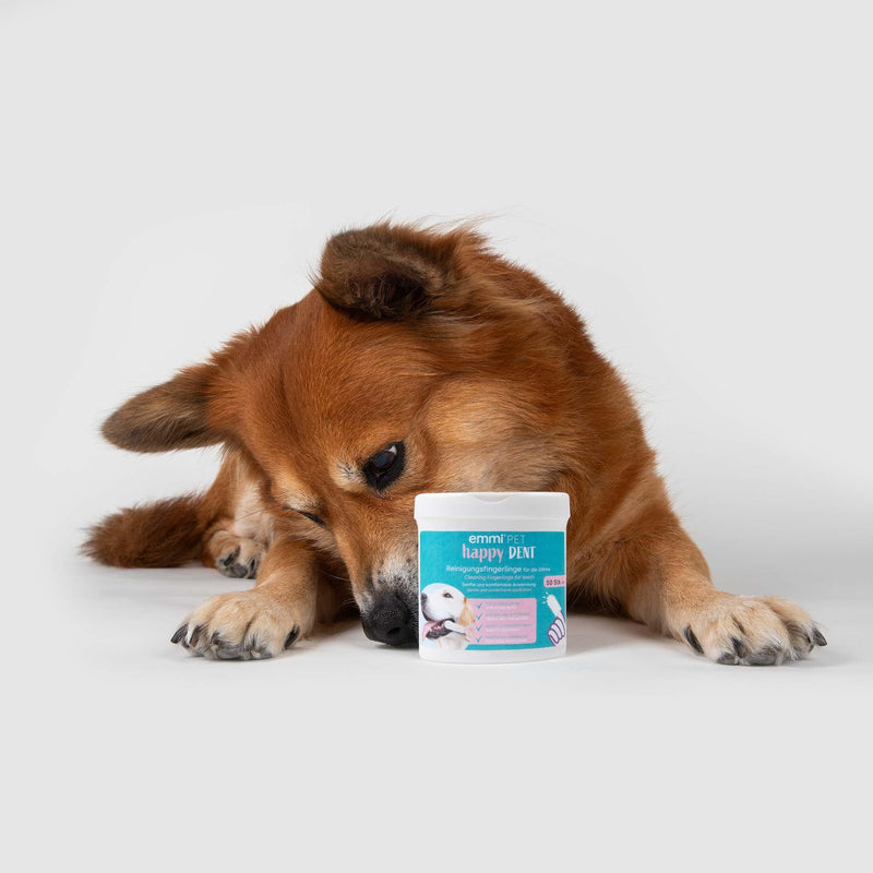Emmi-pet finger pads for teeth | Disposable cleaning finger cots for dogs & cats | Finger cots for dental care & teeth cleaning | Cleaning wipes for care & hygiene 50 pieces - BeesActive Australia