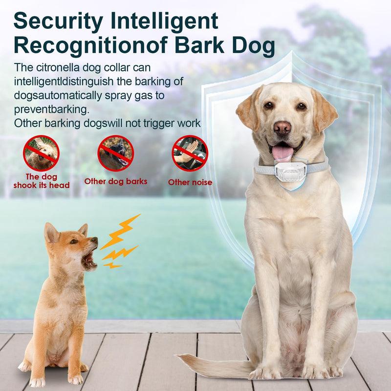 Citronella Bark Collar [No Spray Refill] Spray Dog Training Collar, Safer Citronella Dog Bark Collars, Humane Spray Bark for L/M/S Dogs IP65 Waterproof Dog Spray Bark Collar (Grey) Grey - BeesActive Australia